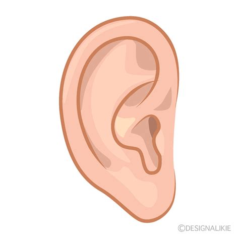 Hearing Clipart Joyrideidea