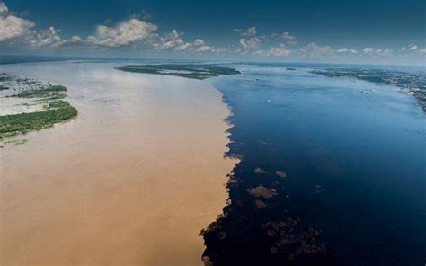 Encontro Das Águas Rede Manaus Hotéis