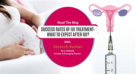 Intrauterine Insemination Iui Definition Process And Success Rate