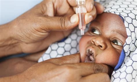 Disappearing Diseases The Global Fight Against Polio Guinea Worm And