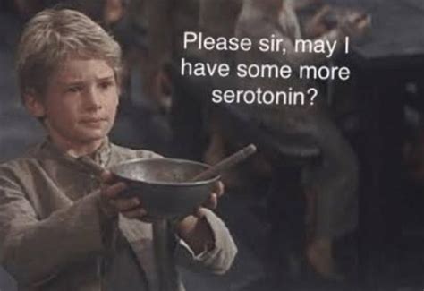 Serotonin Memes Were Down To Our Last Crumbs Of Happiness