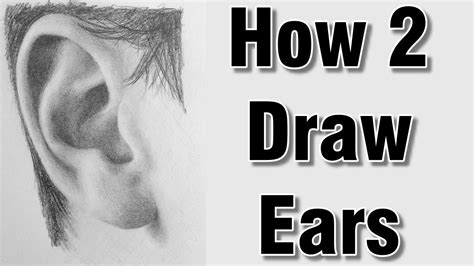 How To Draw Ears In Pencil Drawing Artly