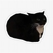 "Maxwell The Cat" Sticker for Sale by da-swag-shop | Redbubble