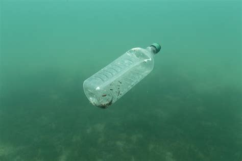 Deadly Plastic These Common Items Are The Ones Killing The Most Marine
