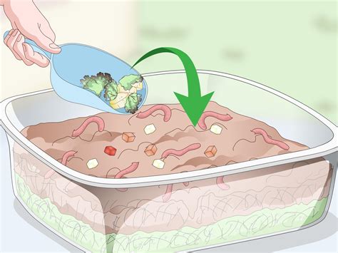 How To Feed Worm Farm Worms 12 Steps With Pictures Wikihow