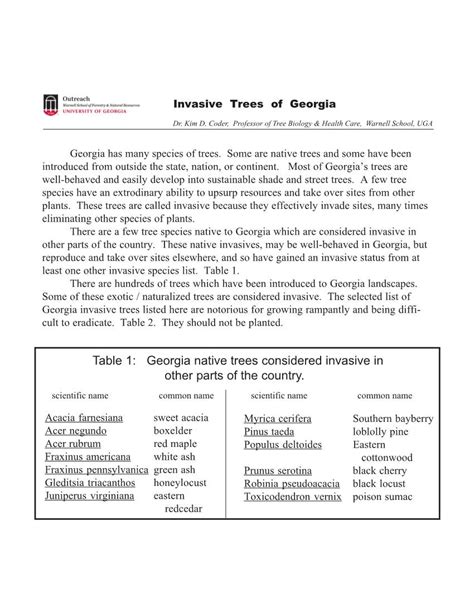 Georgia Native Trees Considered Invasive In Other Parts Of The Country