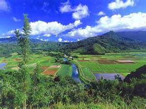 語系 ： 中文(繁體) 中文(简体) english ພາສາລາວ tiếng việt. 技的時A383卡通 - 世紀銀行汽車貸款專線0800222260 - udn部落格