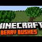 Berry Bush Minecraft