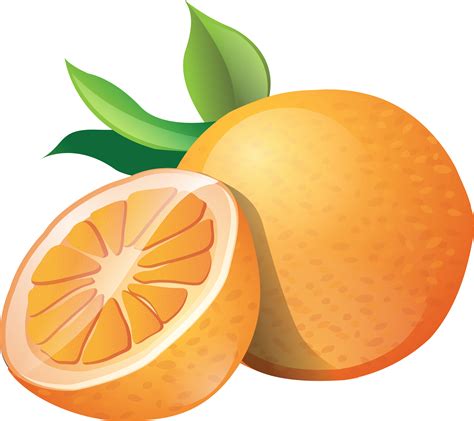 Orange Fruit Clipart Clipart Best