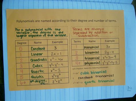Classifying Polynomials Chart 103_3374.JPG (1600×1187) | Extending the ...