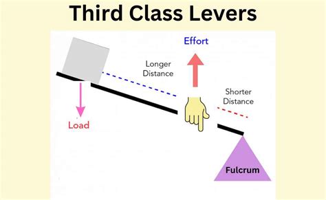 Lever Simple Machine Introduction Types And Applications