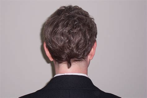 Znalezione Obrazy Dla Zapytania Men Hair Back View Language Usage