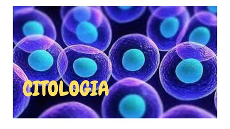 Biologia Com Imagens Estudo Das Celulas Citologia
