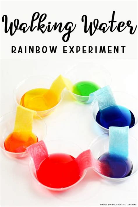 Walking Water Rainbow Experiment Simple Living Creative Learning