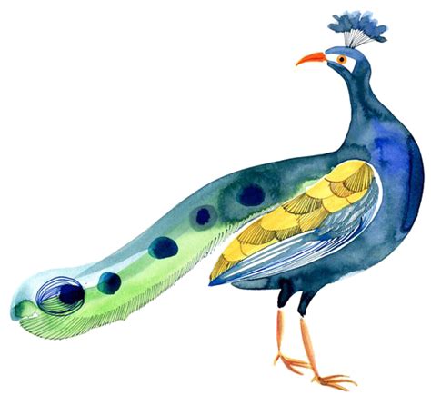 Bird Peafowl - peacock png download - 564*518 - Free ...