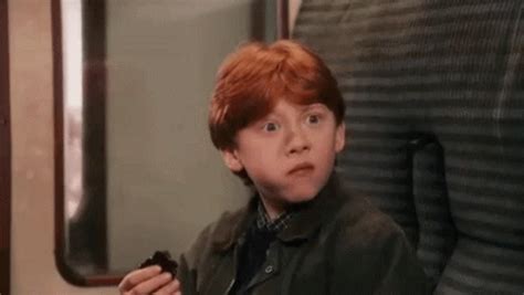 Harry Potter Ron Weasley Gif Harry Potter Ron Weasley Excuse Me