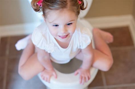 Potty Training Methods Which Is Best For Your Todd Vrogue Co