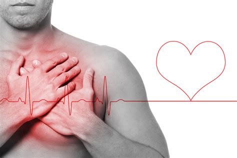 Muitos Processos Fisiológicos E Bioquímicos Tais Como Batimentos Cardíacos
