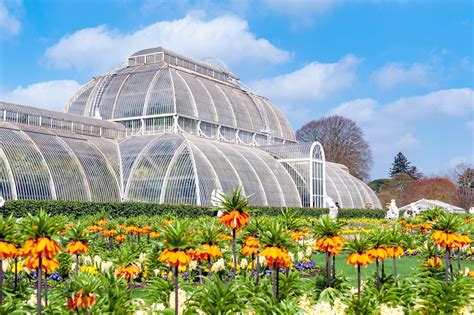 Kew Gardens Is Still Open To The Public During The November Lockdown