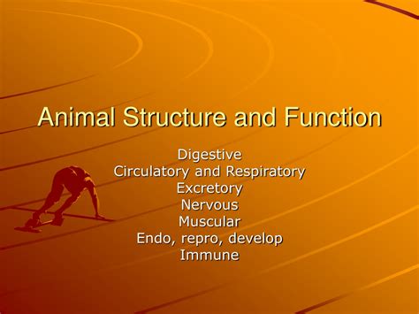 Ppt Animal Structure And Function Powerpoint Presentation Free