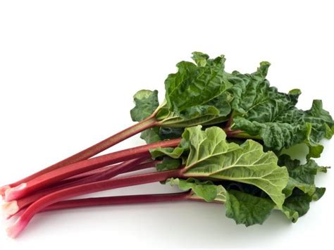 11 Amazing Rhubarb Benefits Organic Facts