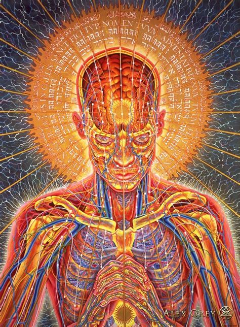 Alex Grey How Art Evolves Consciousness — Dop