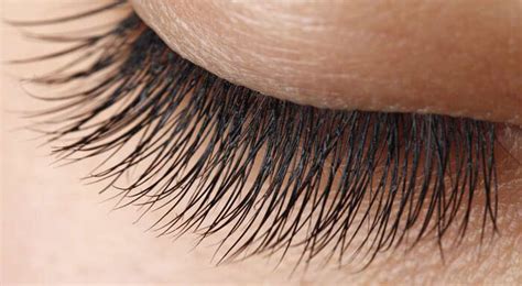 Why Do Guys Have Longer Eyelashes Weve Got Answers