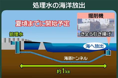 171処理水海洋放出 理解どこまでプライチnews zero日本テレビ