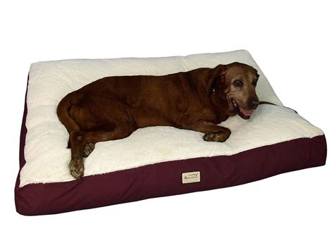 Top 6 Reviews Of 2017 How To Choose The Best Dog Beds For Labs