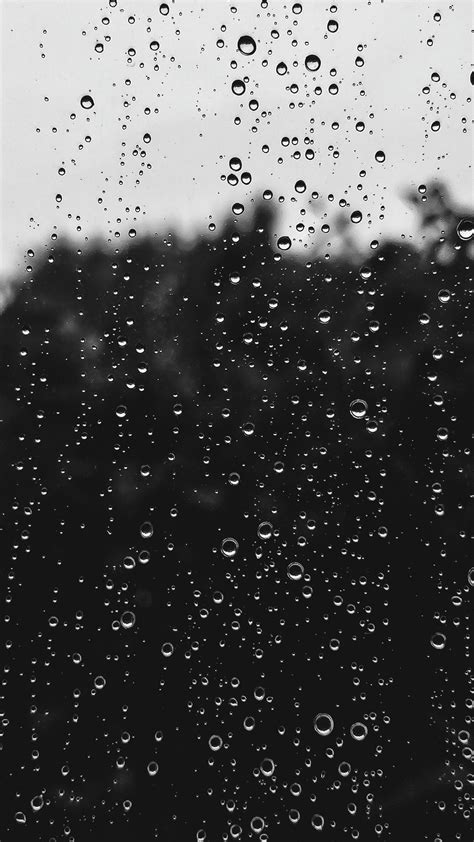 Wet Rain Black And White And Raindrop Hd 4k Phone Hd Wallpaper
