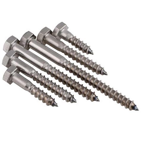 Viraj Polished Stainless Steel Coach Screw Rs 15 Piece Tools