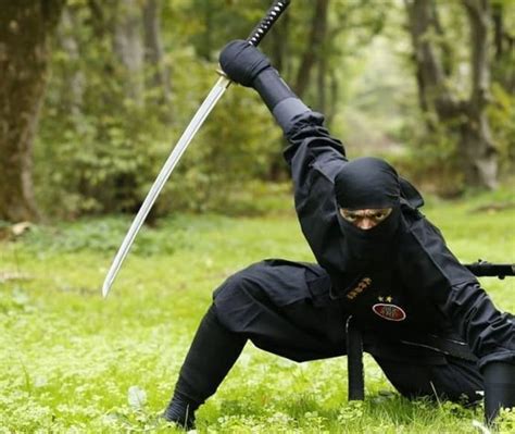 Determined Ninja In 2021 Samurai Poses Ninja Art Fighting Poses