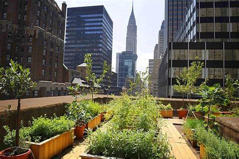 Want to create an urban garden but don't know where to start? Urban Rooftop Garden Designs Changing City Architecture ...