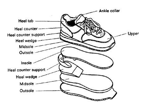 Parts Of A Running Shoe Download Scientific Diagram