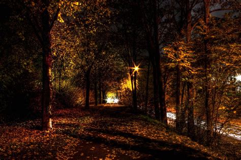 Autumn Night~ Autumn Night Night Autumn