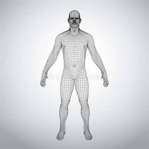Wire Frame Human Body Polygonal 3d Model On White Background Stock