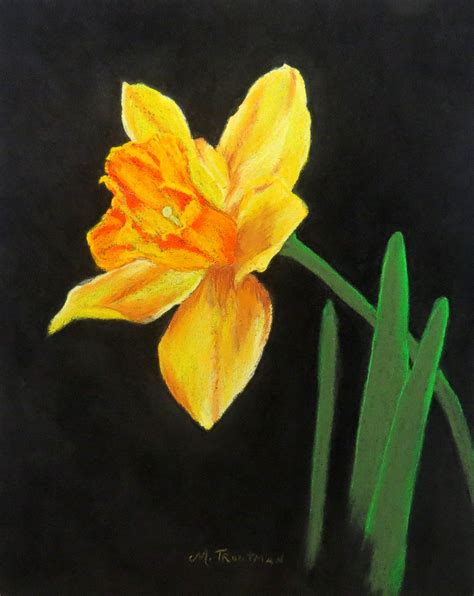 Daffodil Pastel In Still Life