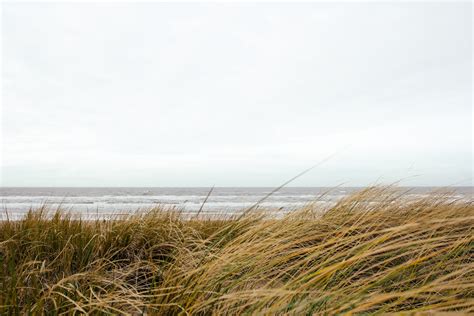 Free Images Beach Sea Coast Nature Sand Ocean Horizon Marsh