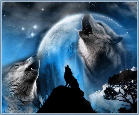 9 Best Images About Wolfs On Pinterest Wolves Desktop