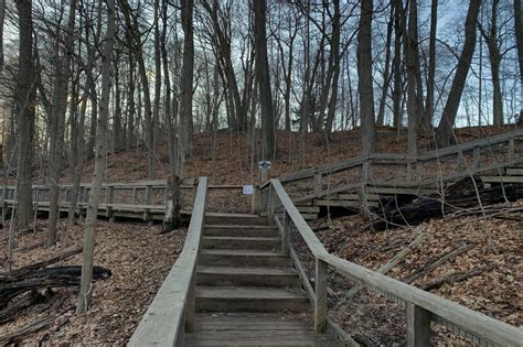 Sherwood Park In Toronto Has A Boardwalk Trail Through A Forest Full Of
