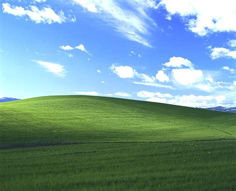 Its Bliss Behind The Iconic Windows Xp Photo Cnet
