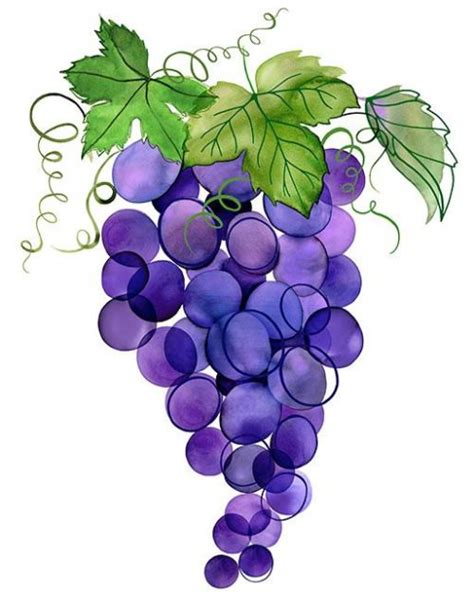 Grape Drawing Vine Drawing Grape Painting One Stroke Painting
