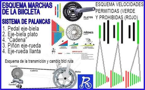 Los Cambios De Mi Bici La Velocidad Correcta PEDALIA Peacecommission