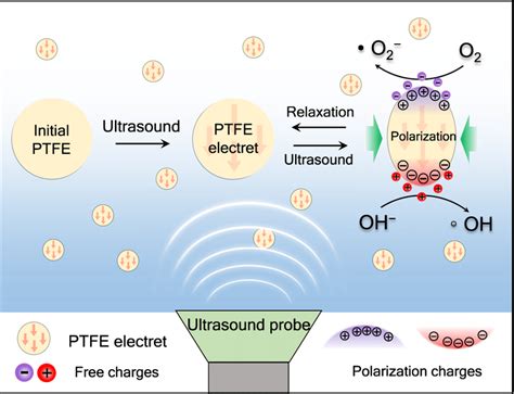 Schematic Illustration Of The Piezocatalytic Generation Of Ros By Ptfe