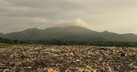 Our planet faces significant environmental problems. ENDER Blog's: Environmental Problem Issues of garbage in ...