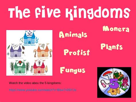 Milaenglish Blog The 5 Kingdoms