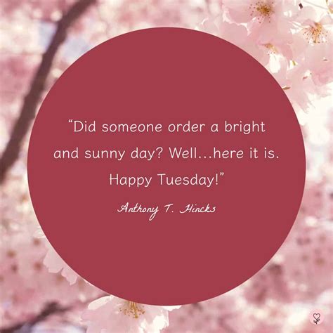 70 Happy Tuesday Quotes For Motivation And Joy