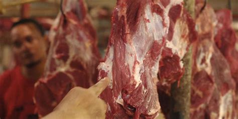 Cara Membedakan Daging Sapi Dan Babi Jangan Sampai Salah Beli Halaman