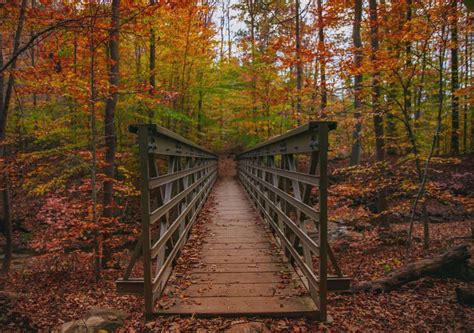 The Best Places To See Fall Foliage In Northeast Ohio