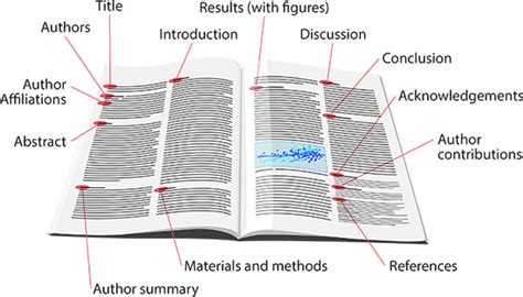Anatomy Of A Scientific Paper